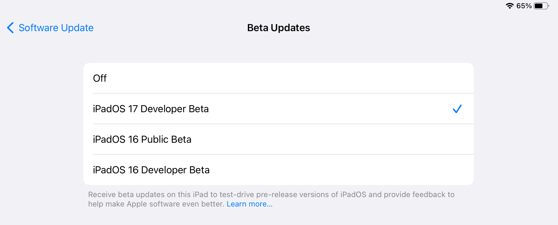 iPadOS 17 Developer Beta